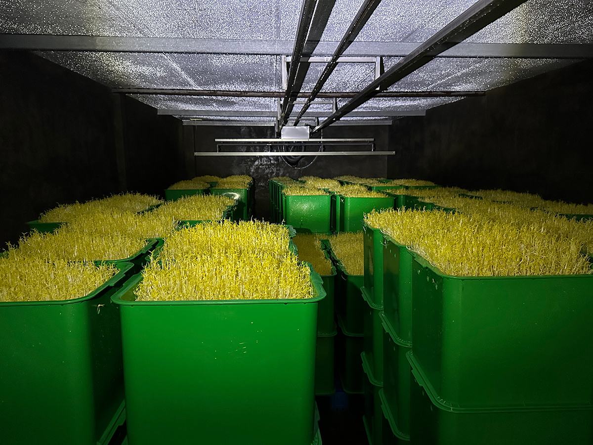 廠家帶你了解設備的淋水方式